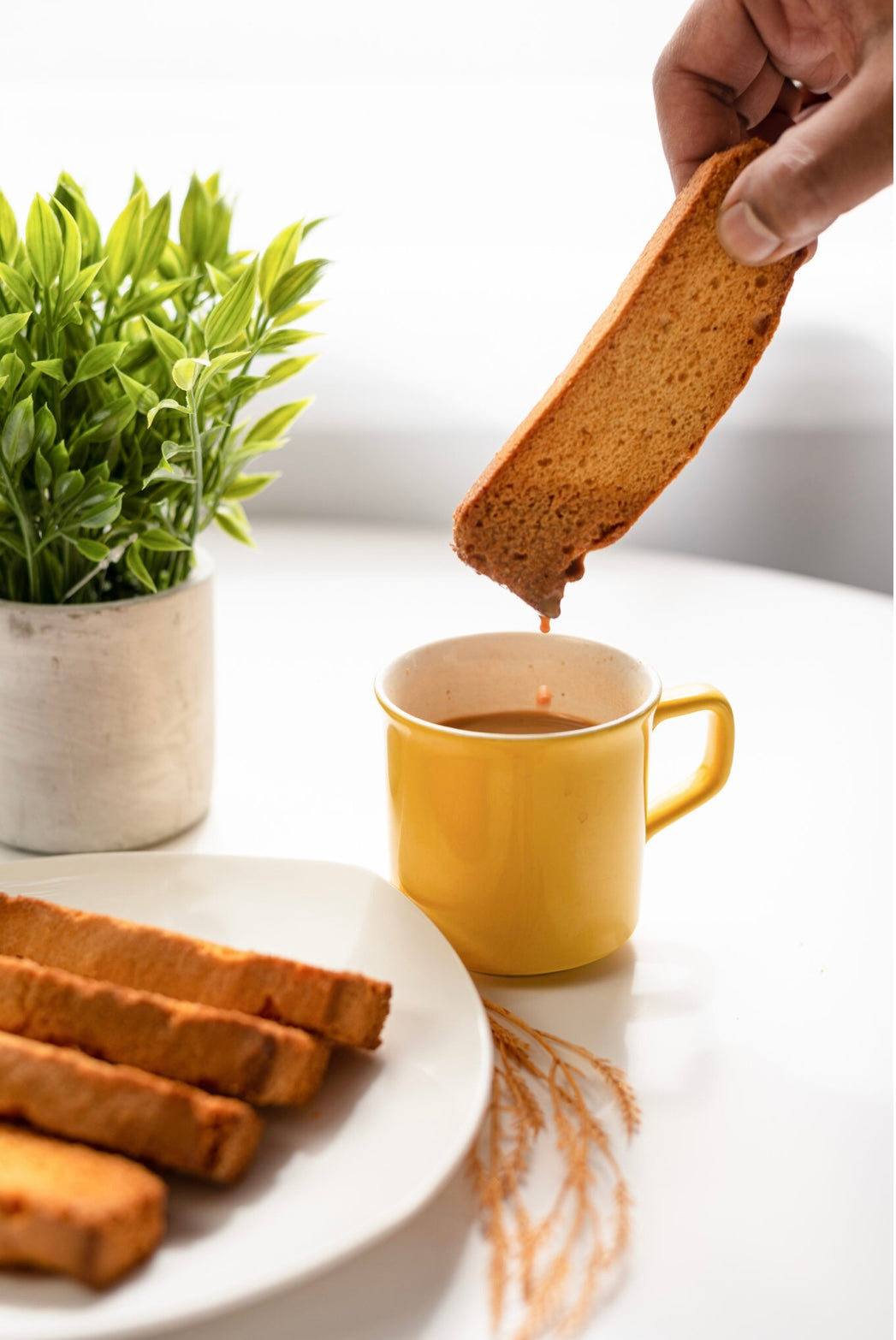 Crispy Eggless Cake Rusk